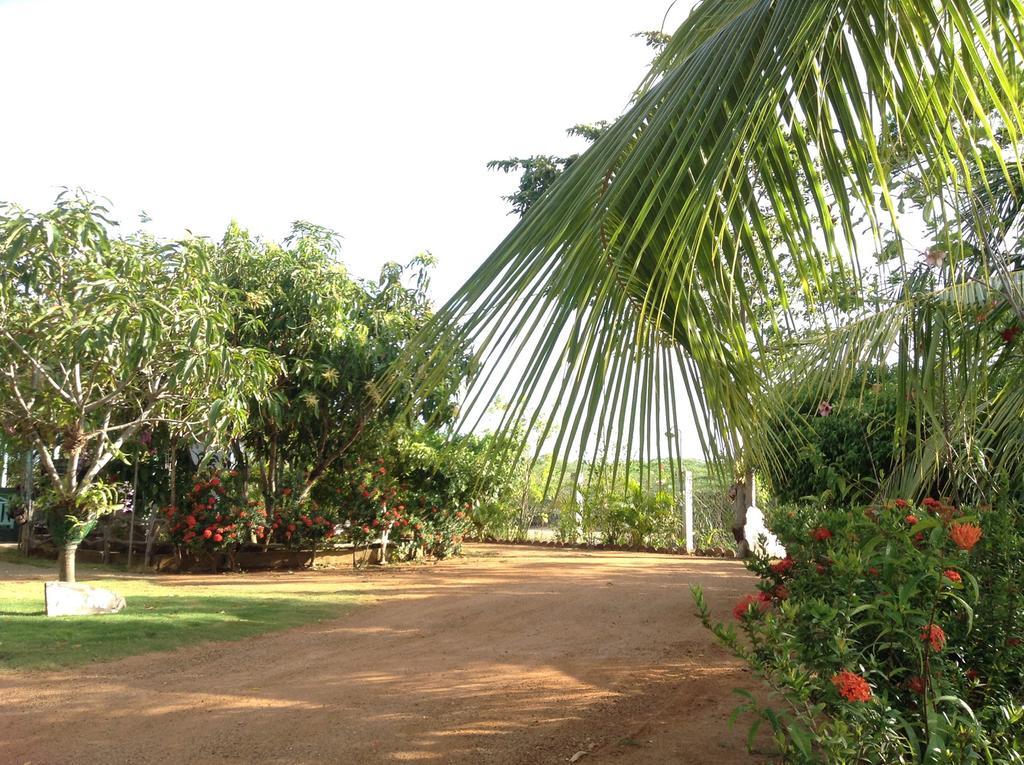 Lagoon Inn Hambantota Exterior photo